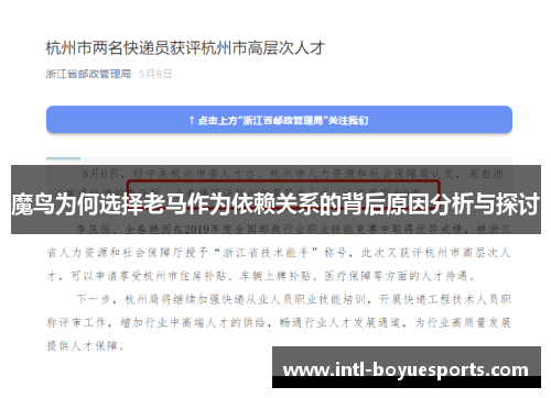 魔鸟为何选择老马作为依赖关系的背后原因分析与探讨