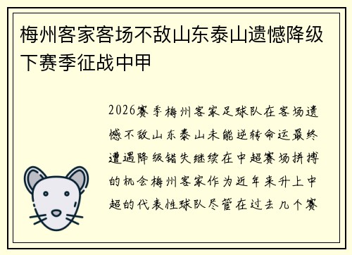梅州客家客场不敌山东泰山遗憾降级下赛季征战中甲